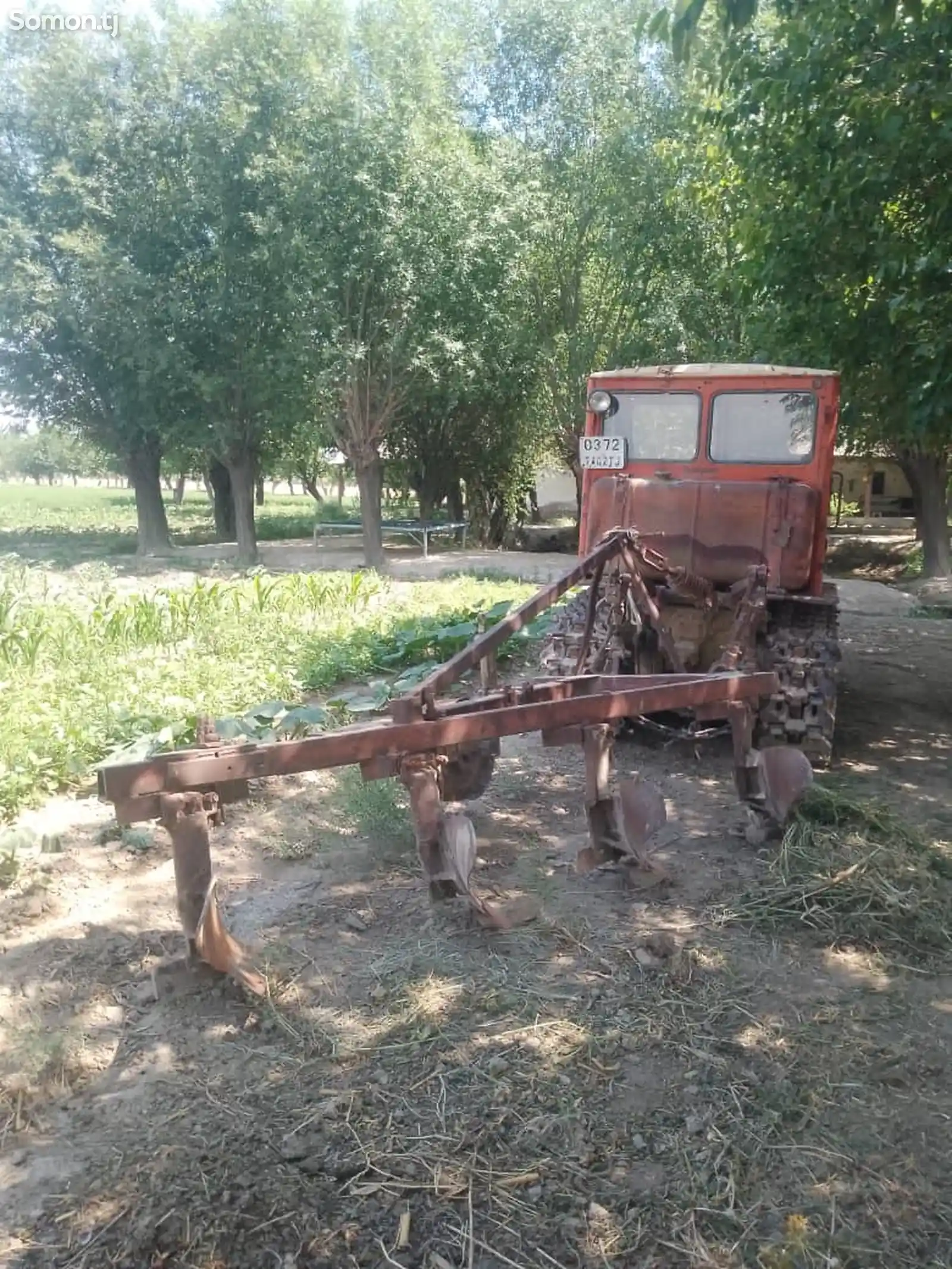 Трактор Алтай гусеничный-2