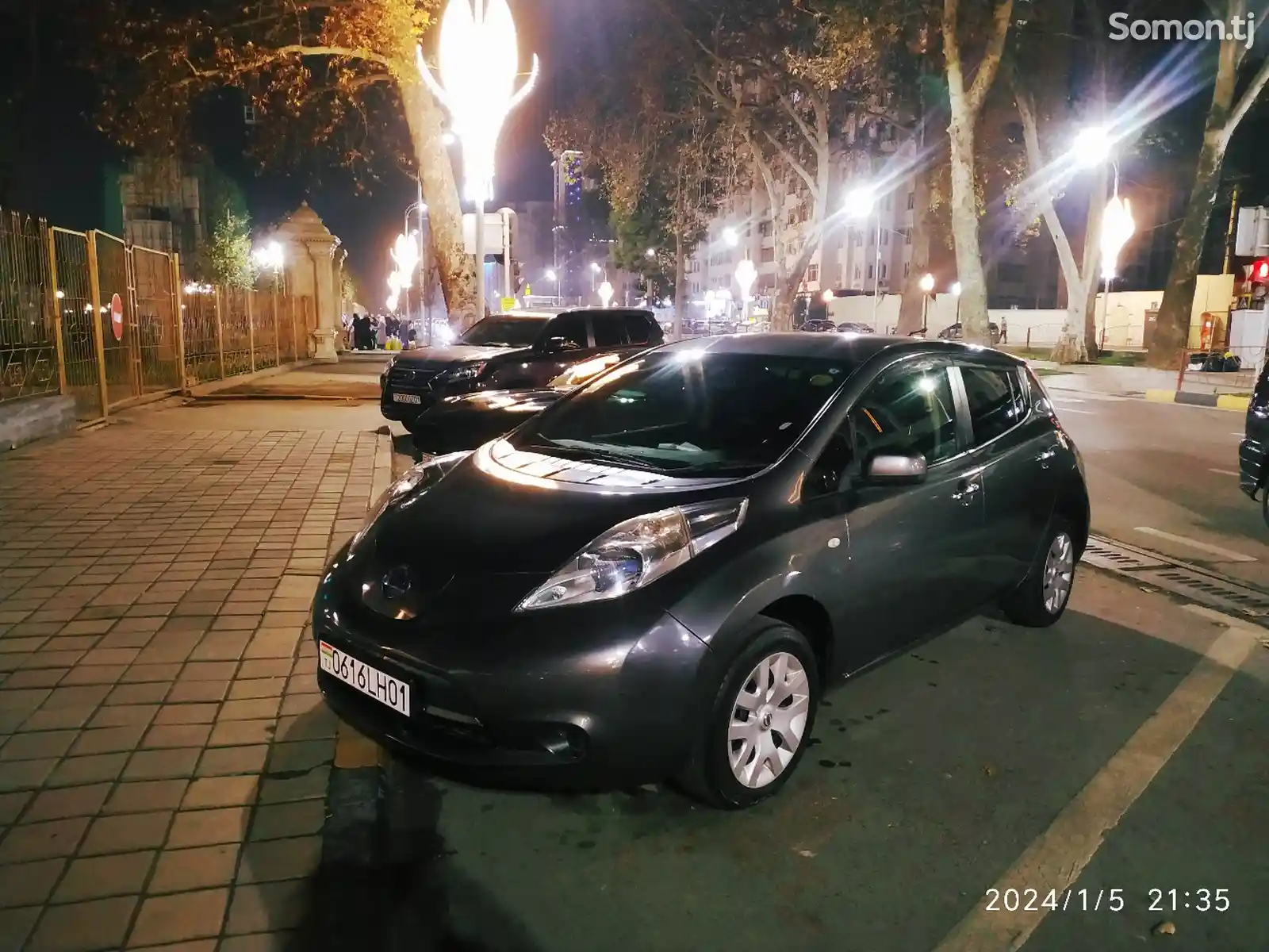 Nissan Leaf, 2013-1