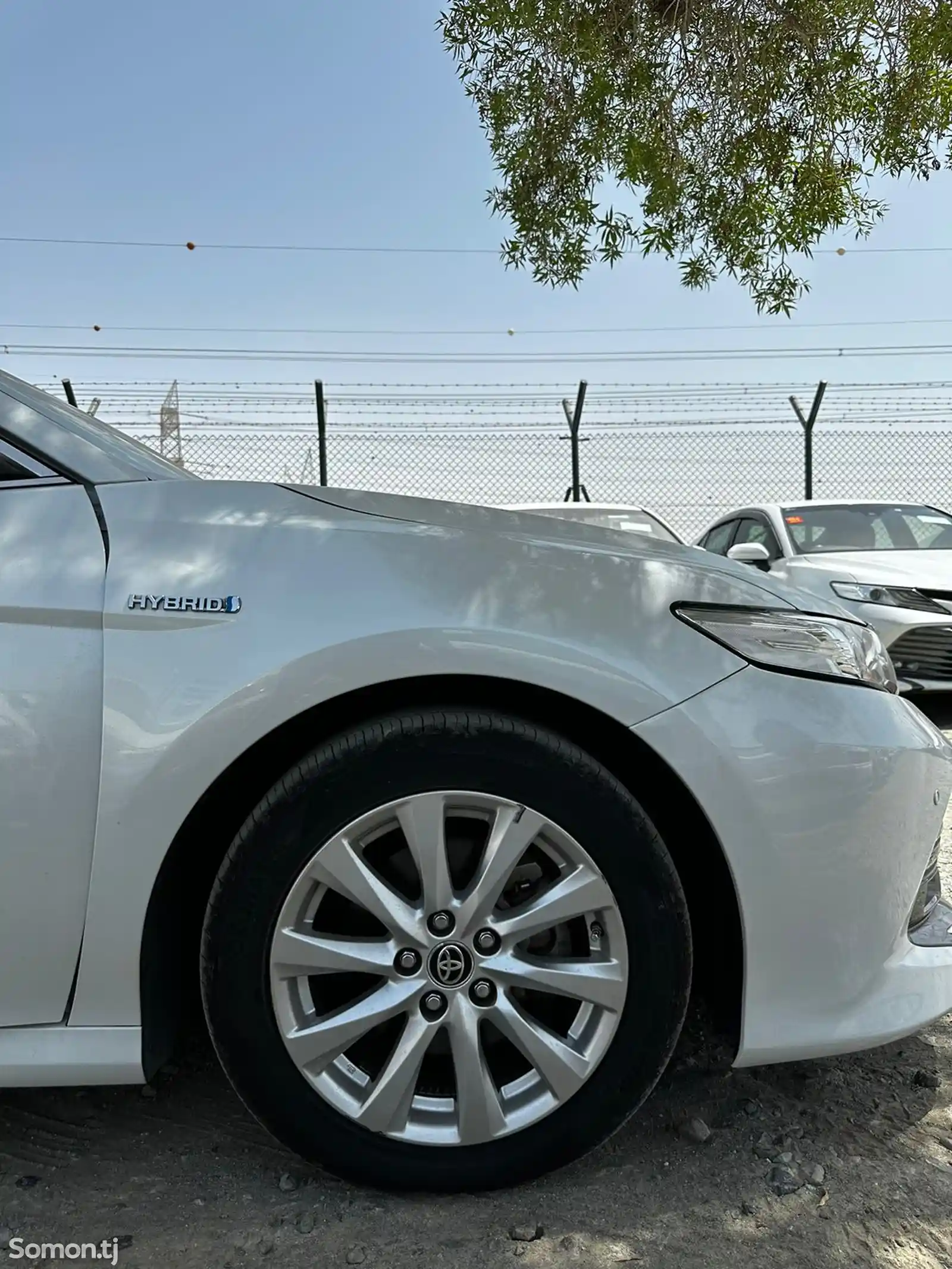 Toyota Camry, 2019-6