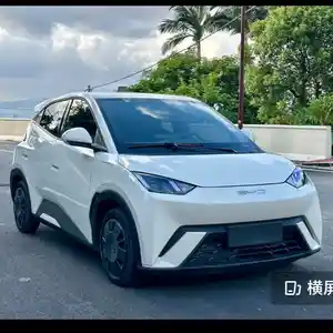 BYD Seagull, 2024