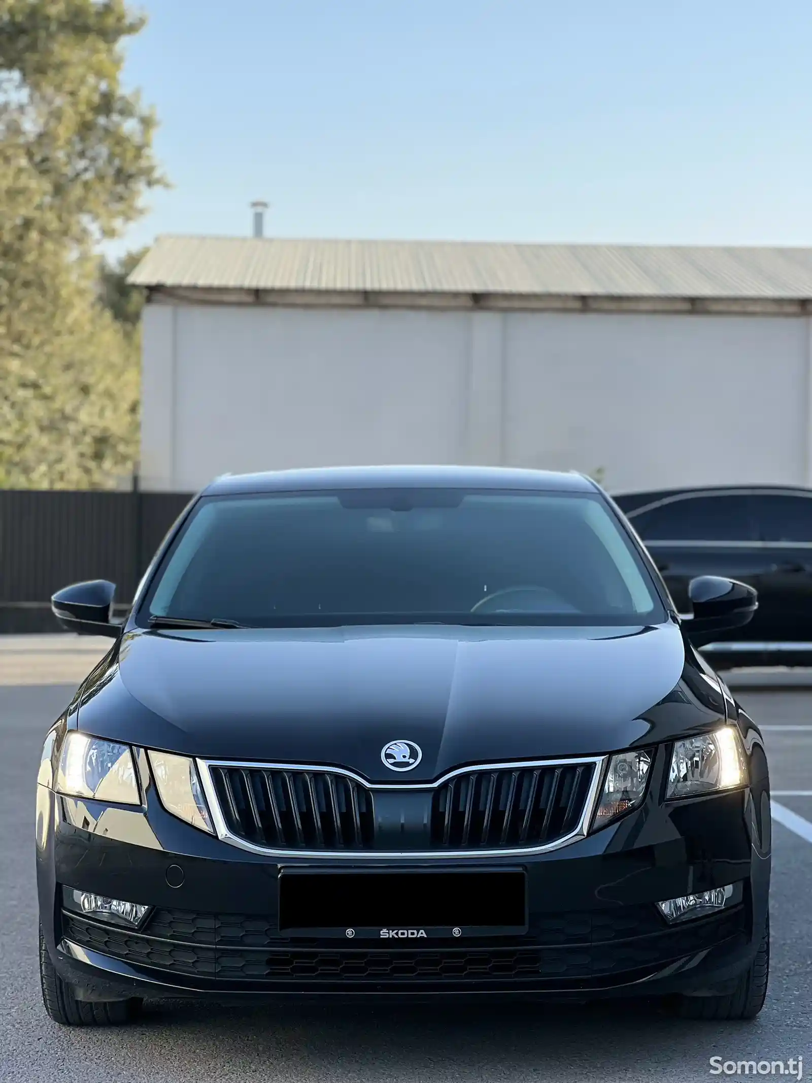 Skoda Octavia, 2019-2