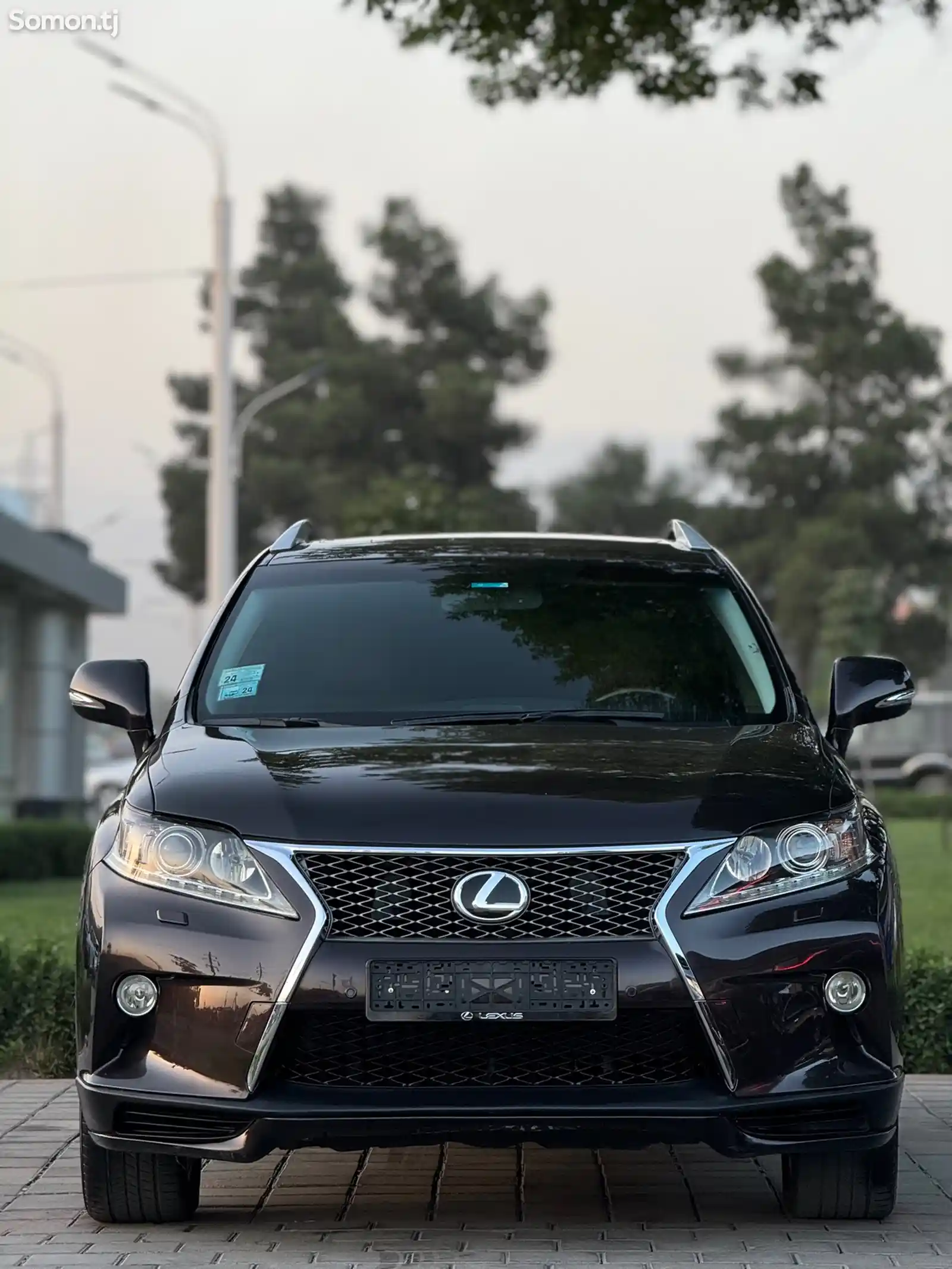 Lexus RX series, 2013-1