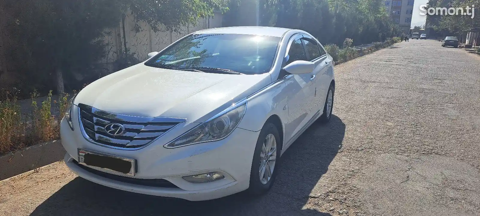 Hyundai Sonata, 2010-1