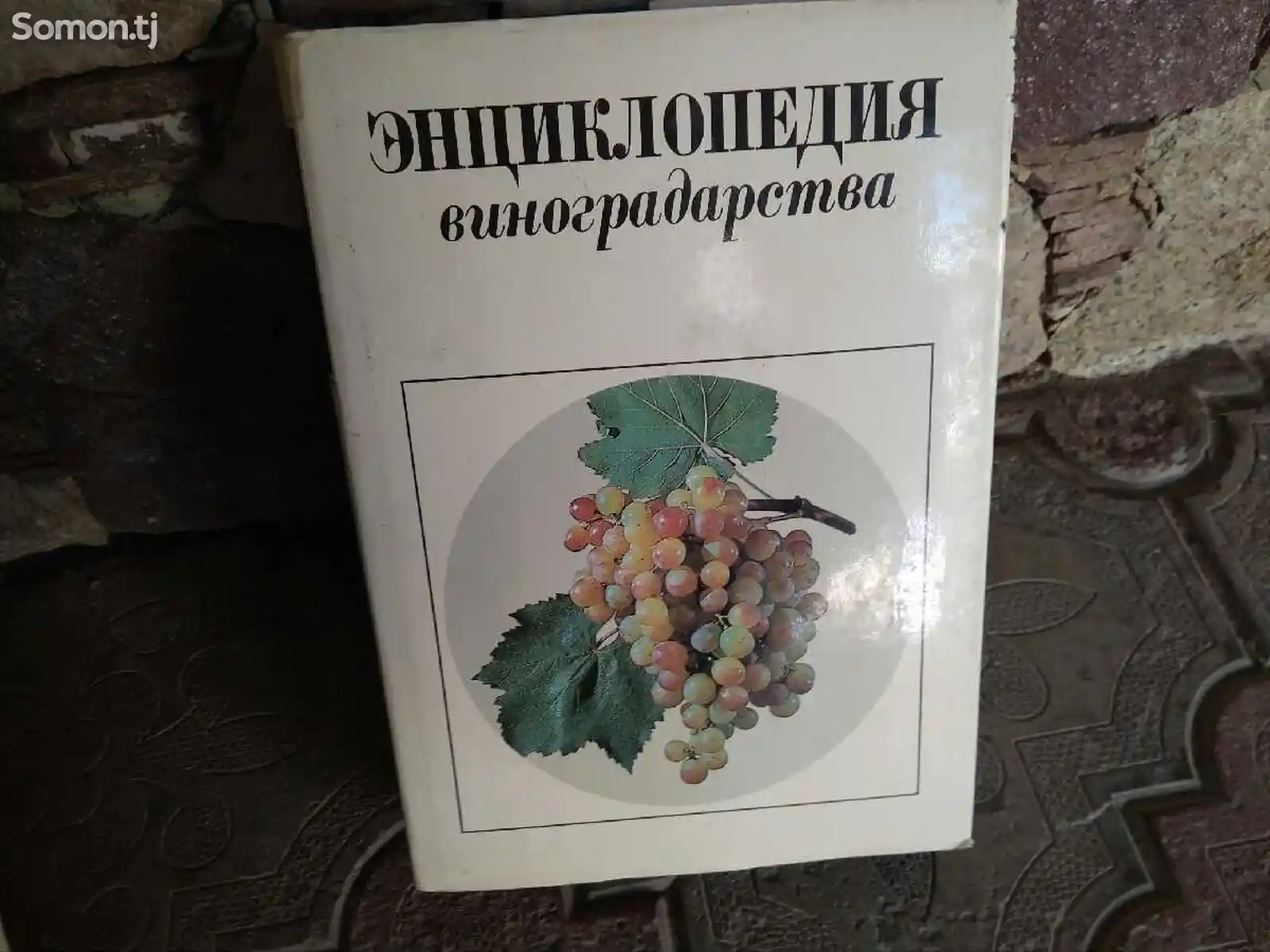 Книга - Энциклопедия виноградарства-1
