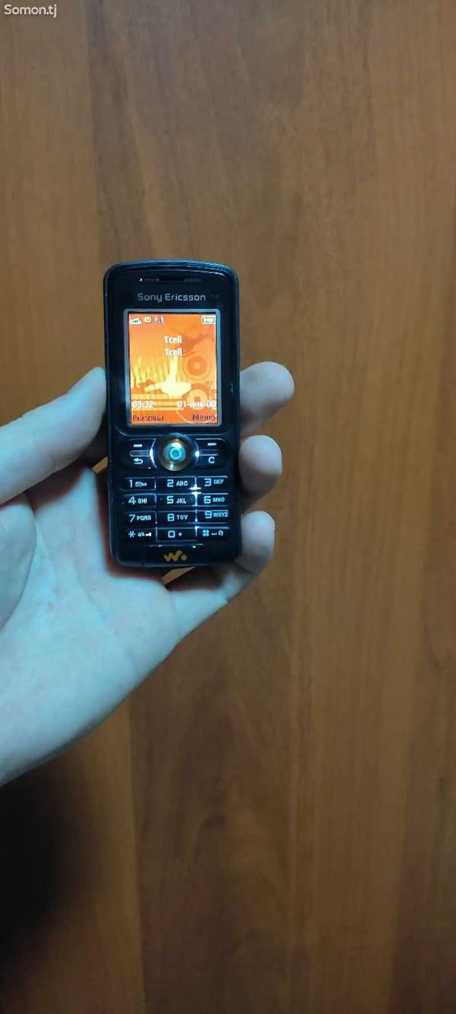 Sony Ericsson W200-2