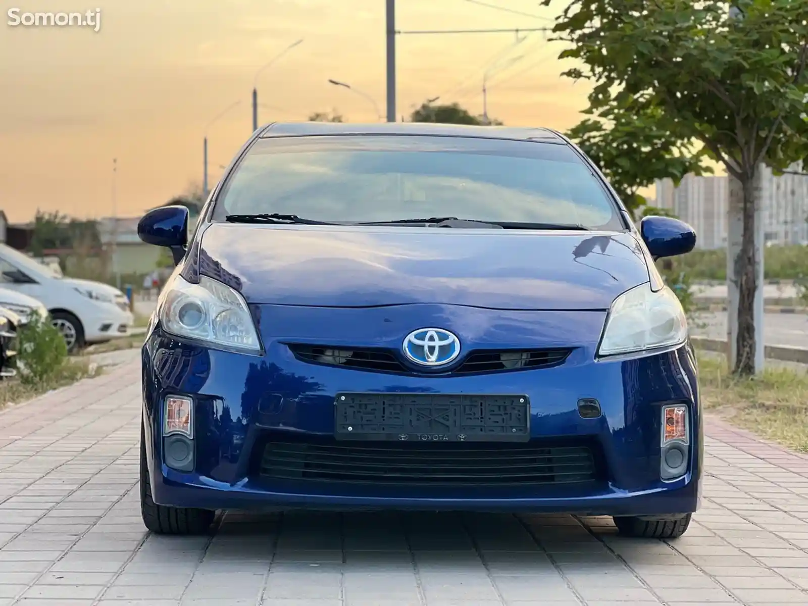 Toyota Prius, 2010-1