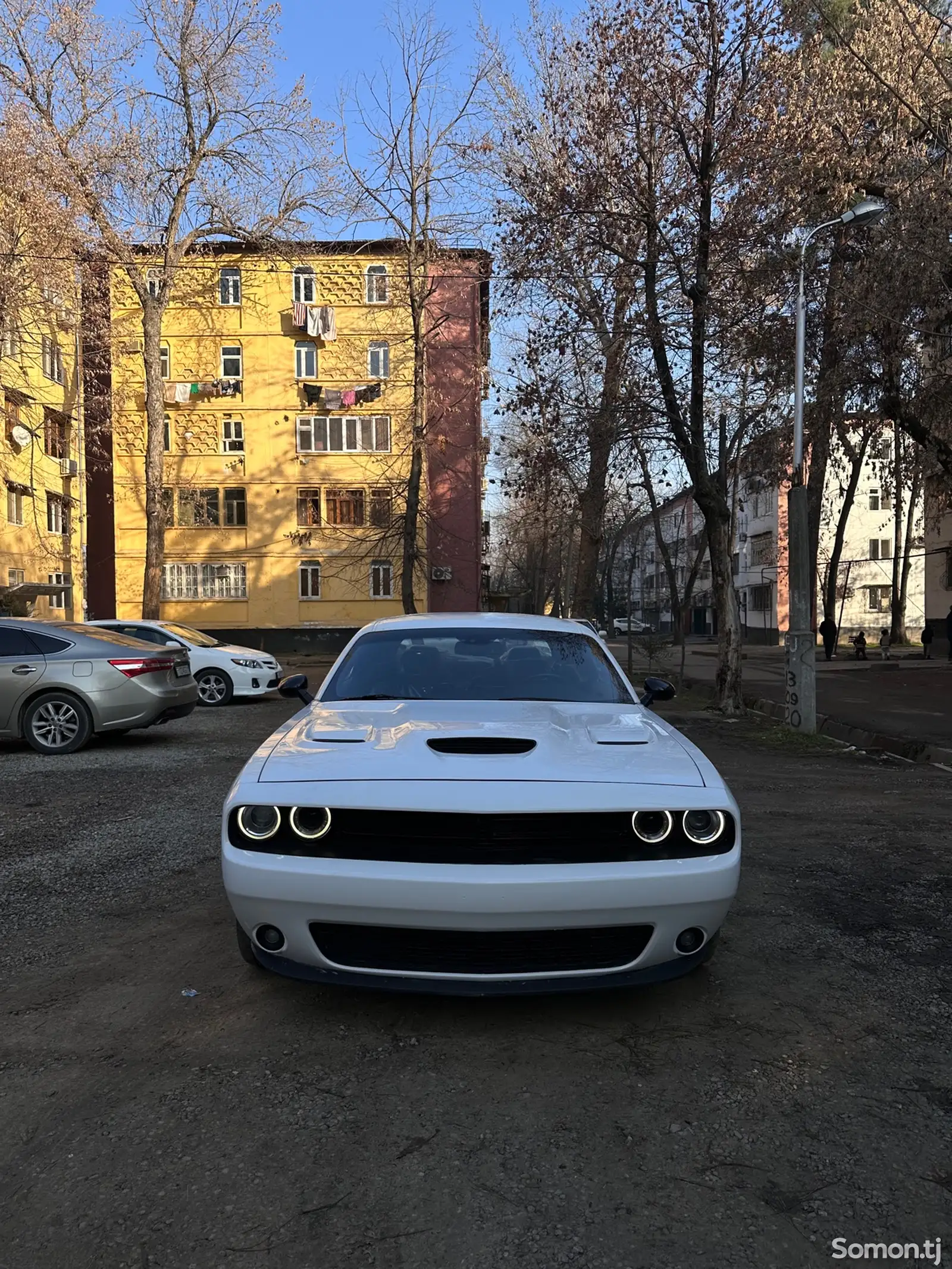 Dodge Challenger, 2019-1