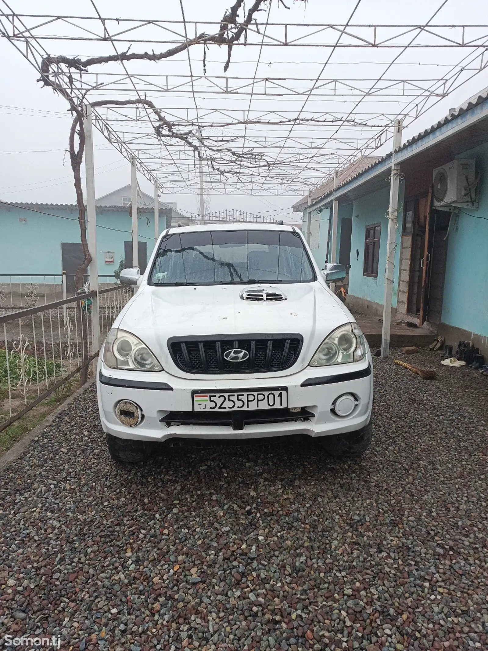 Hyundai Terracan, 2002-1