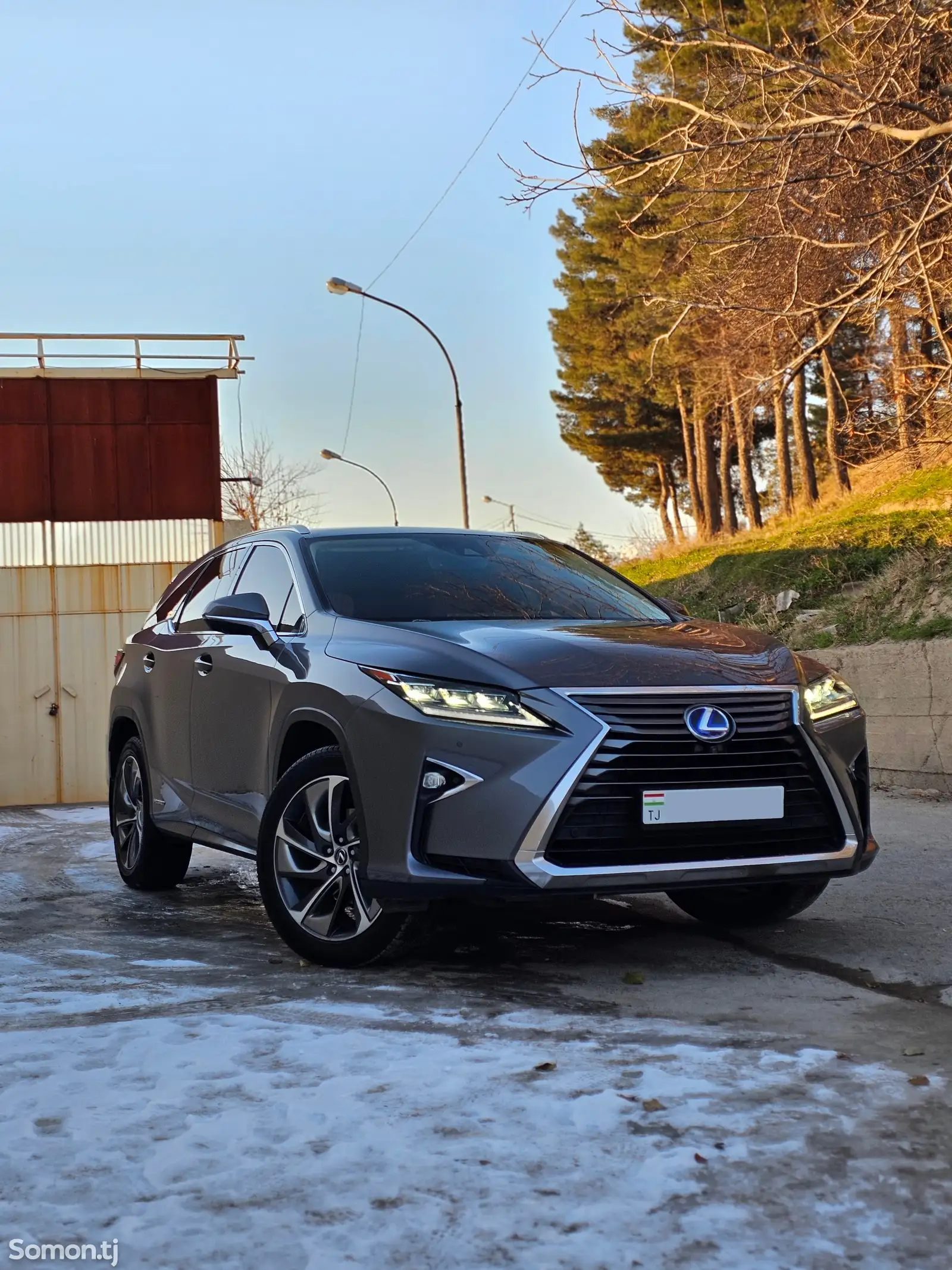 Lexus RX series, 2019-1