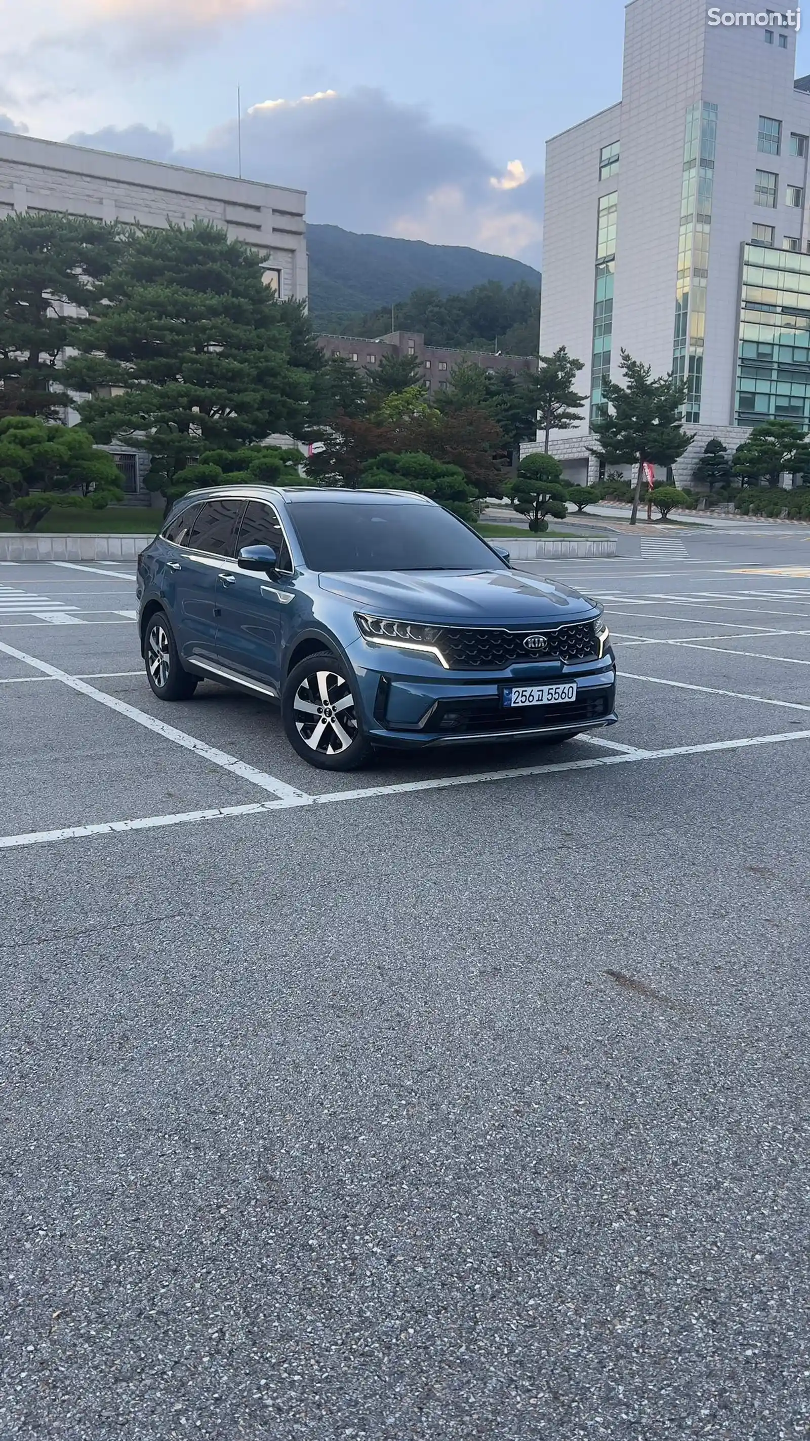 Kia Sorento, 2020-1