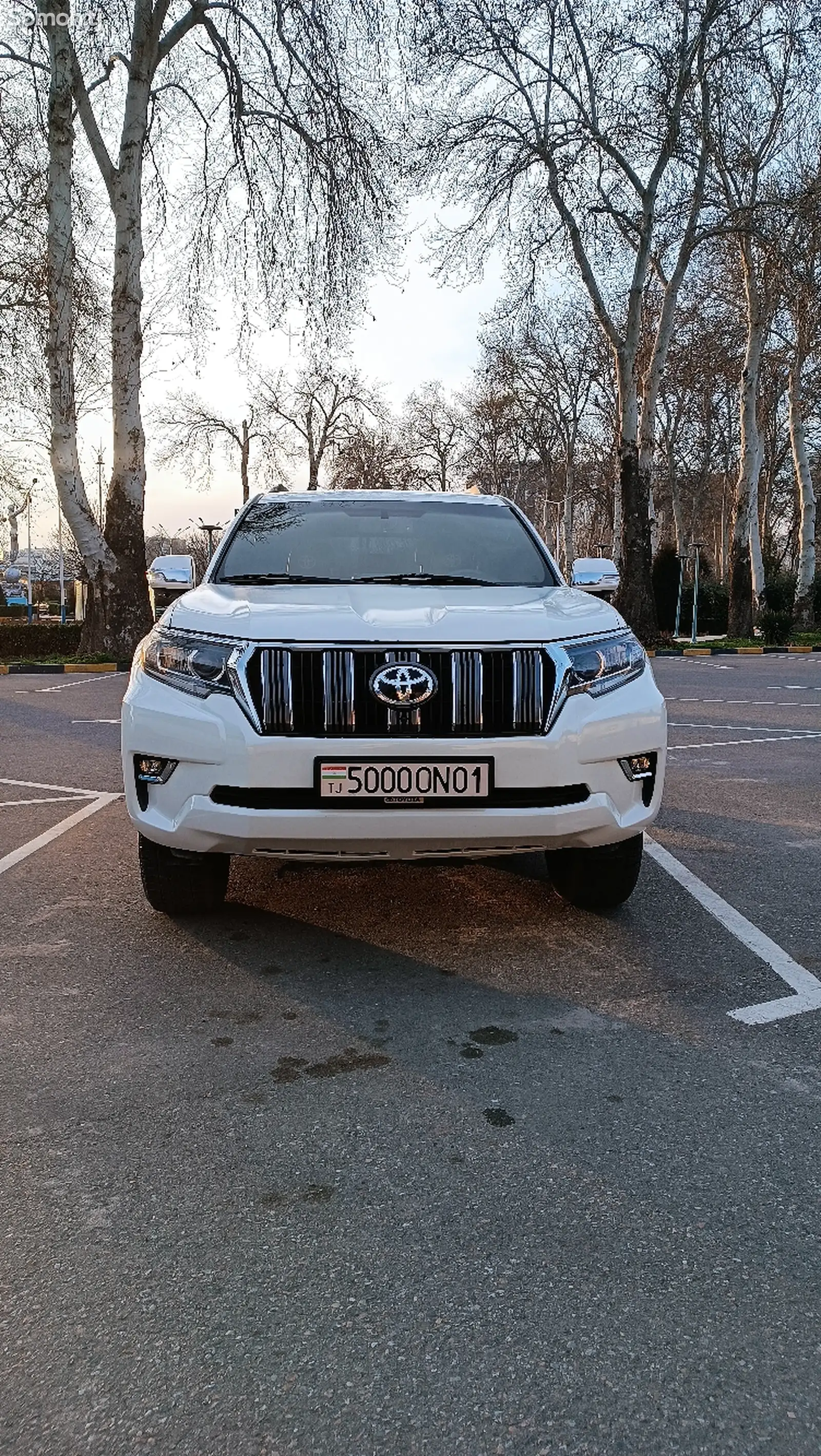 Toyota Land Cruiser Prado, 2013-1