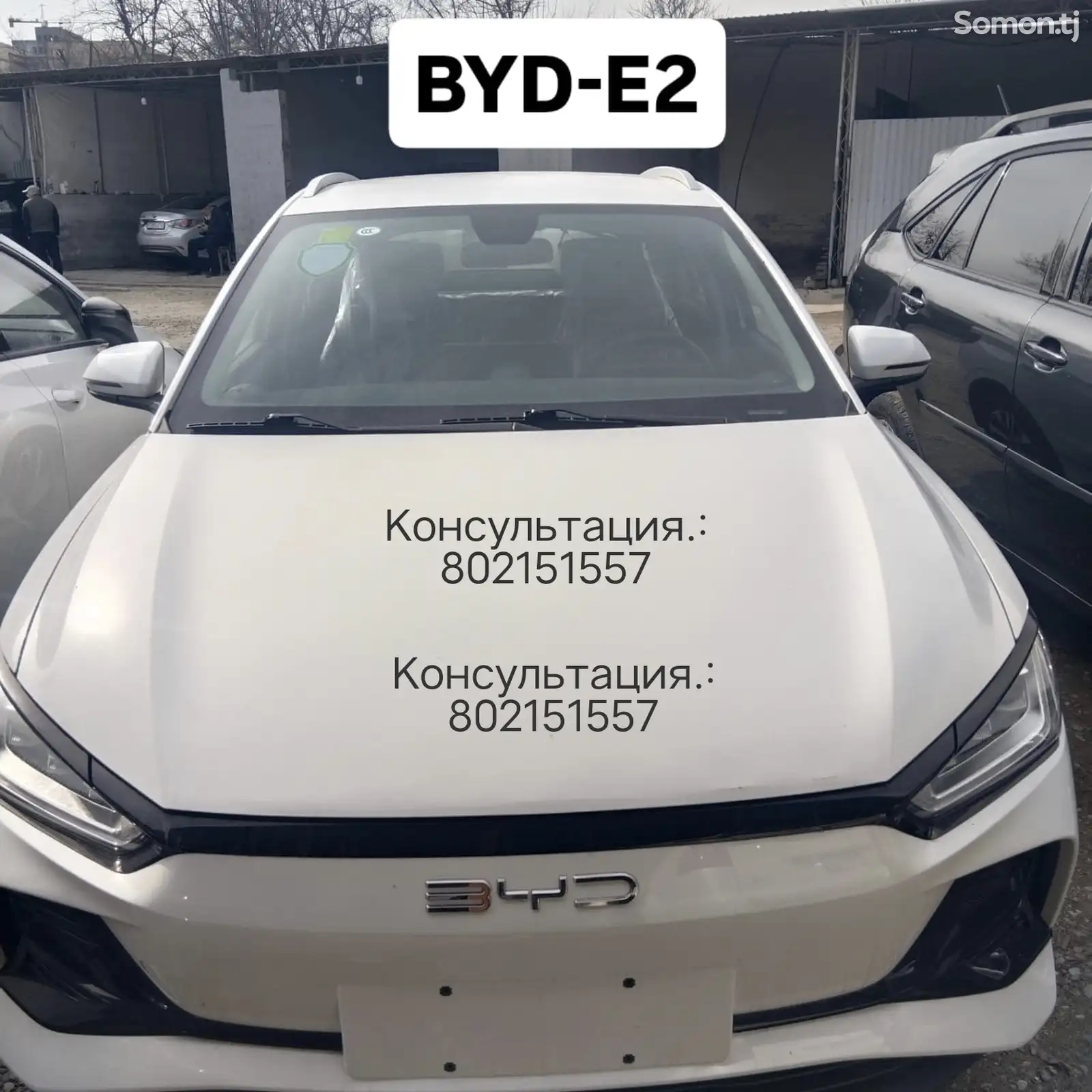 BYD E2, 2024-1