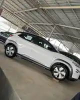 Hyundai Kona, 2020-4