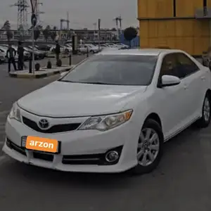 Toyota Camry, 2010