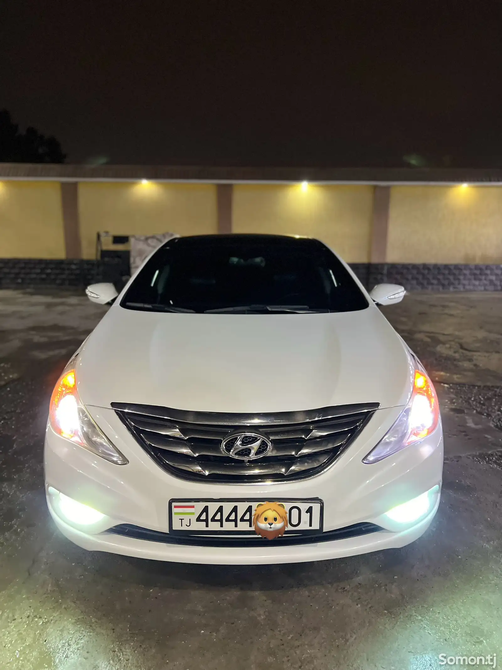 Hyundai Sonata, 2011-1