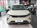 BYD Yuan Up, 2024-6