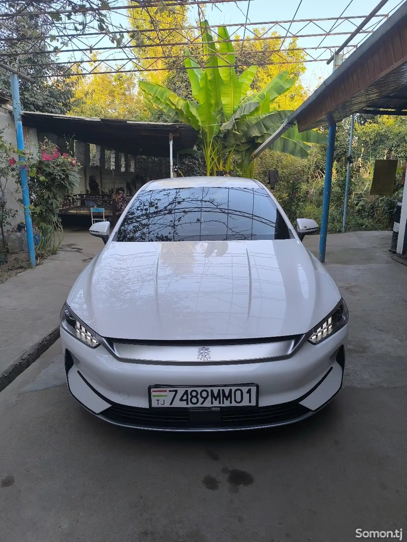 BYD Qin Plus, 2024-1