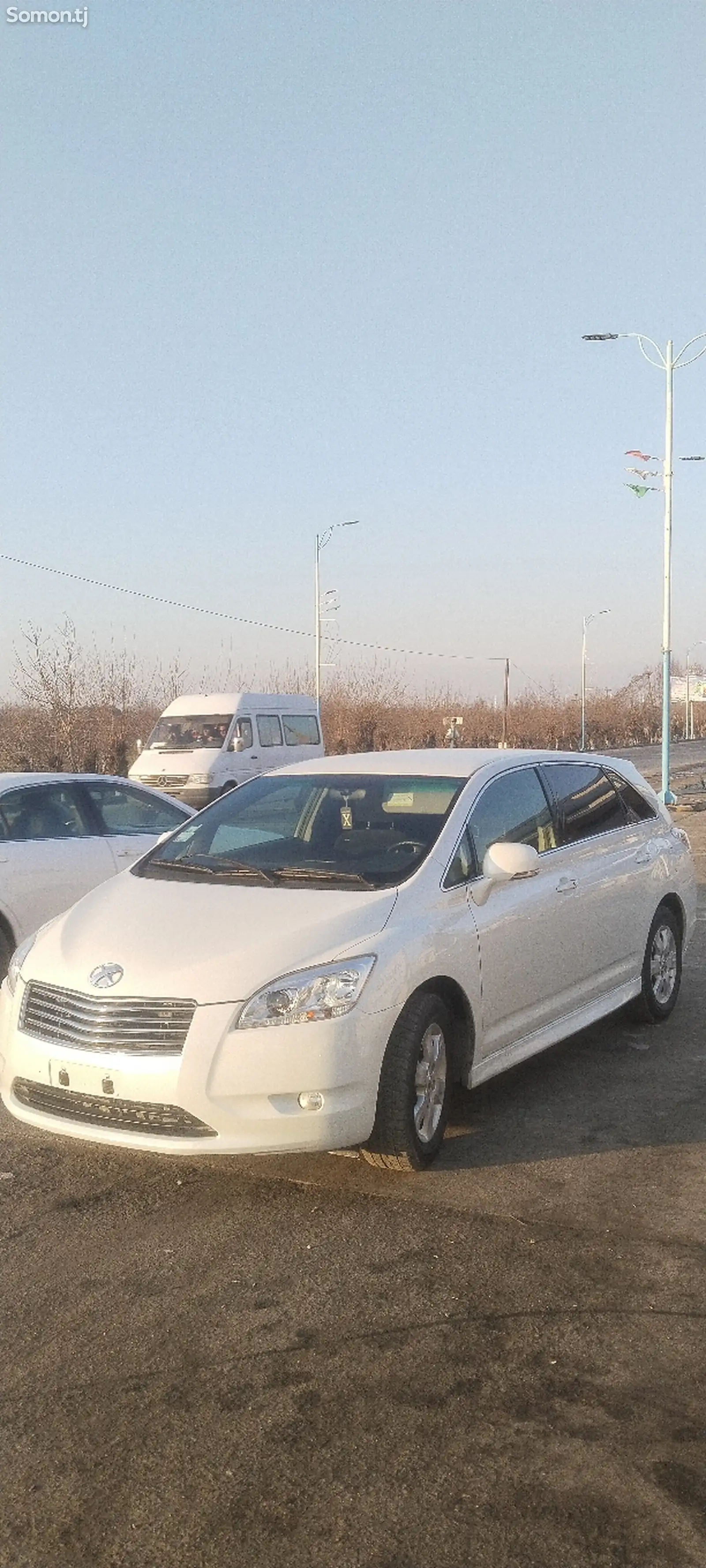 Toyota Mark X ZiO, 2010-1