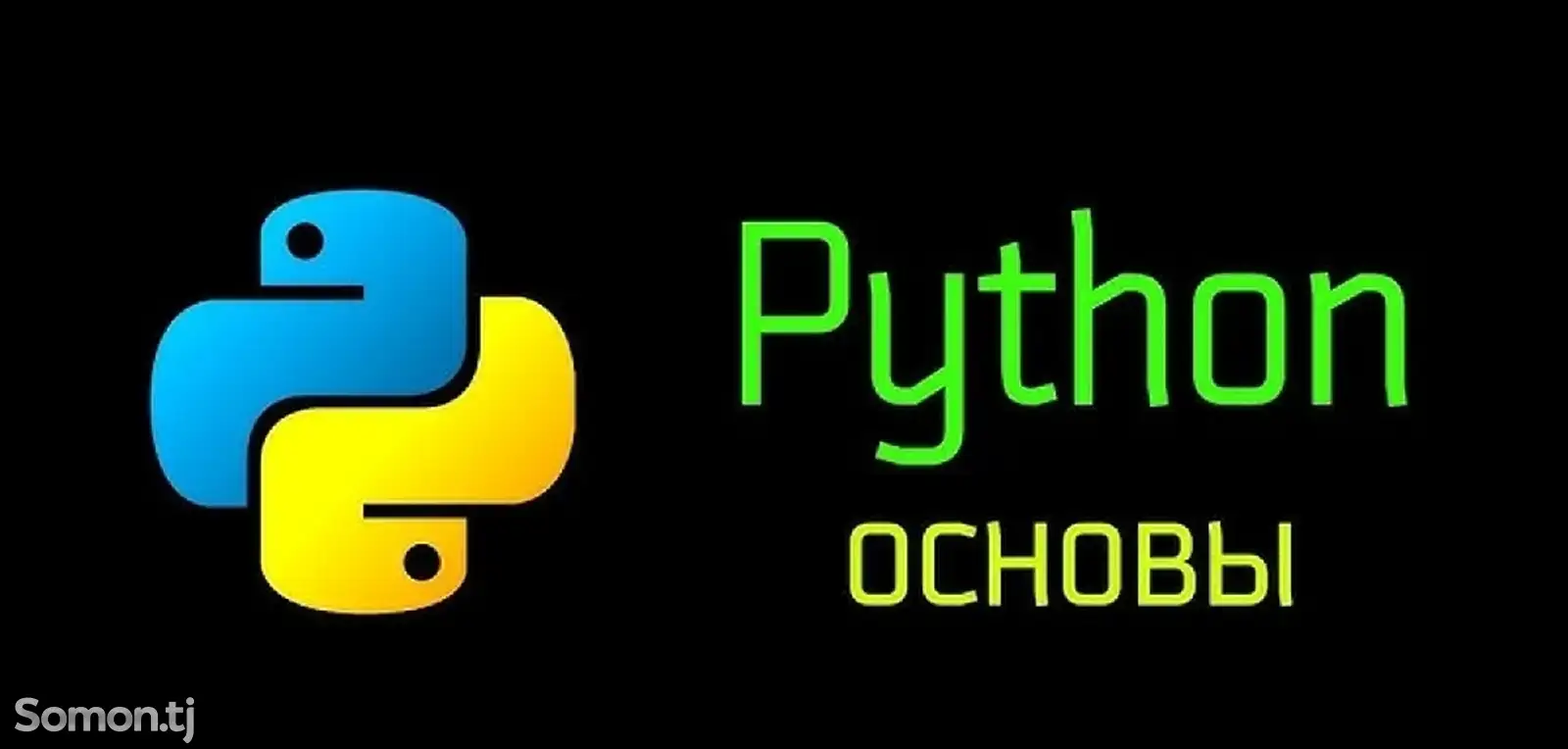 Видео-Курс Python