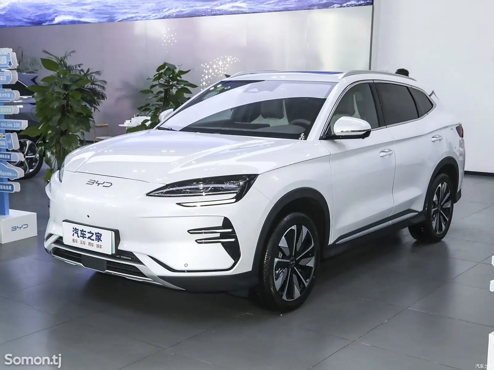 BYD Song Plus, 2024-8