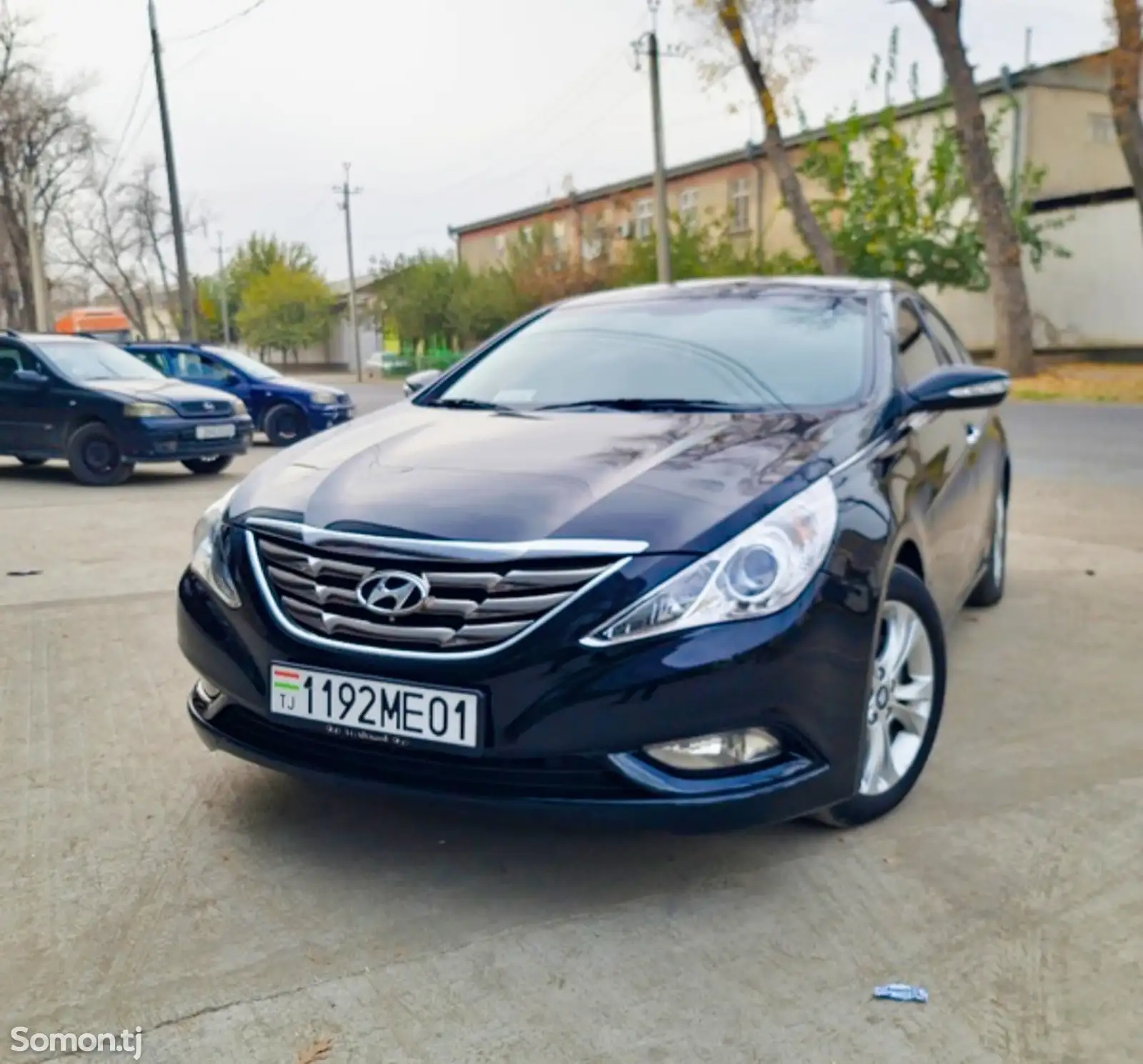 Hyundai Sonata, 2010-1