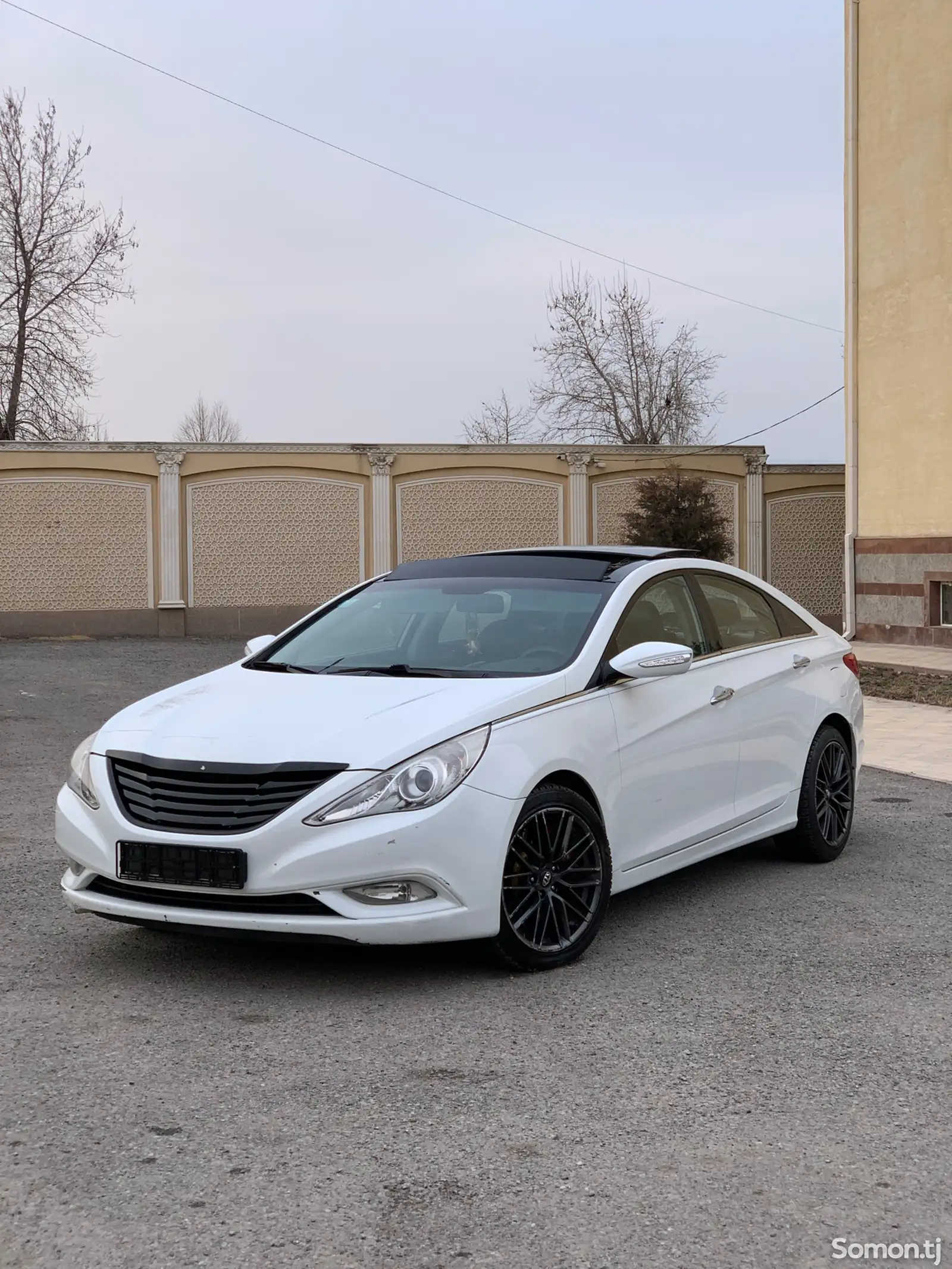 Hyundai Sonata, 2010-1