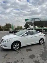 Hyundai Sonata, 2010-3