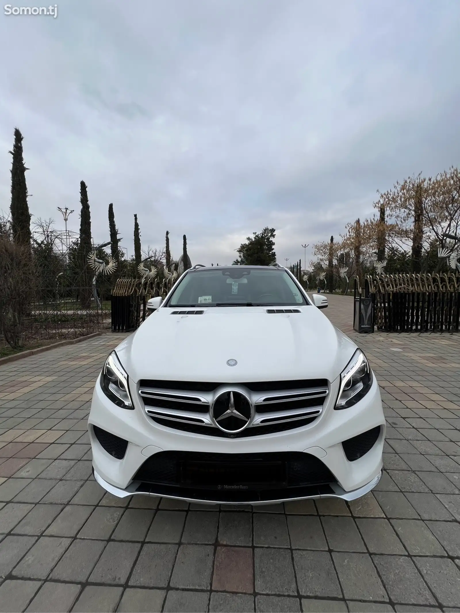 Mercedes-Benz GLE class, 2016-1