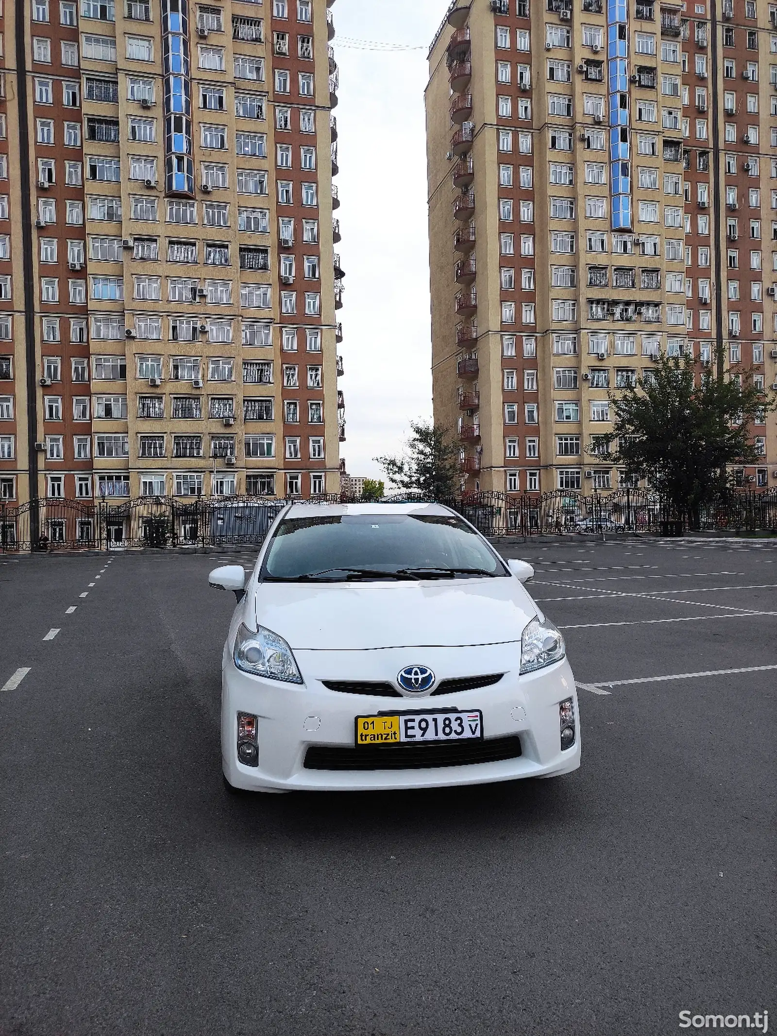 Toyota Prius, 2010-1