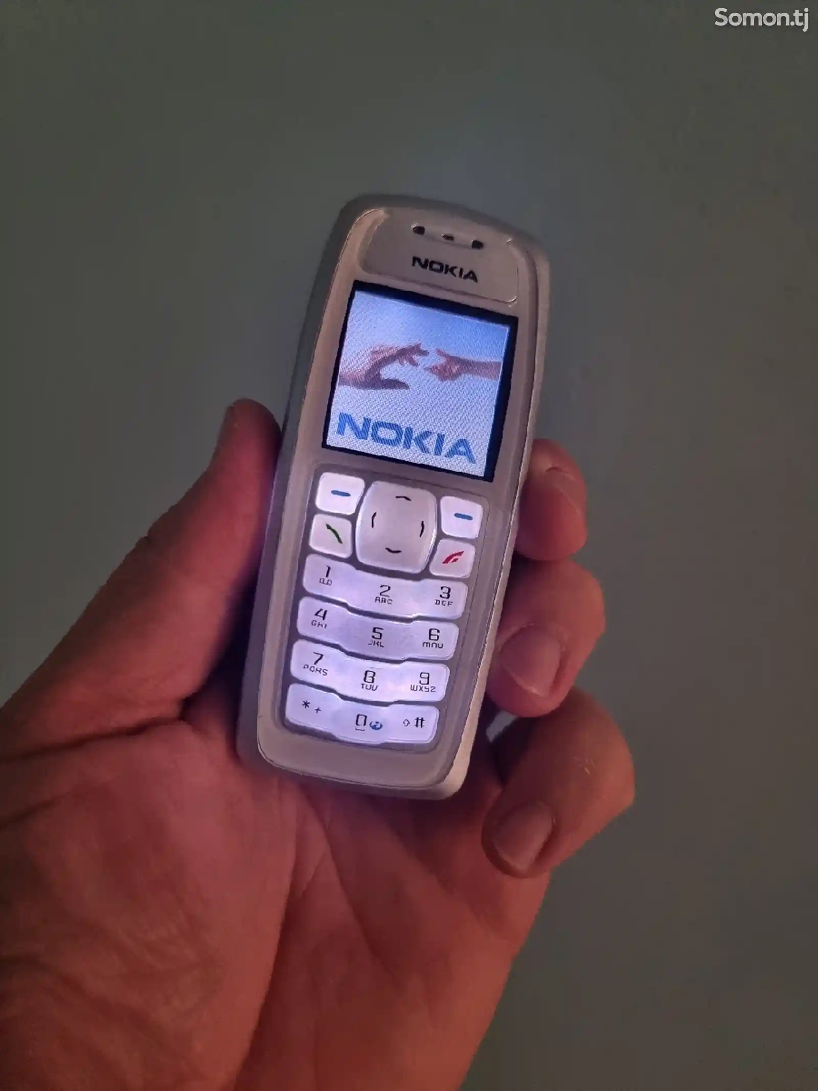 Nokia 3100-5