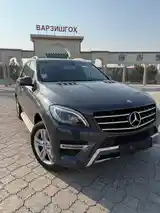 Mercedes-Benz ML class, 2014-4