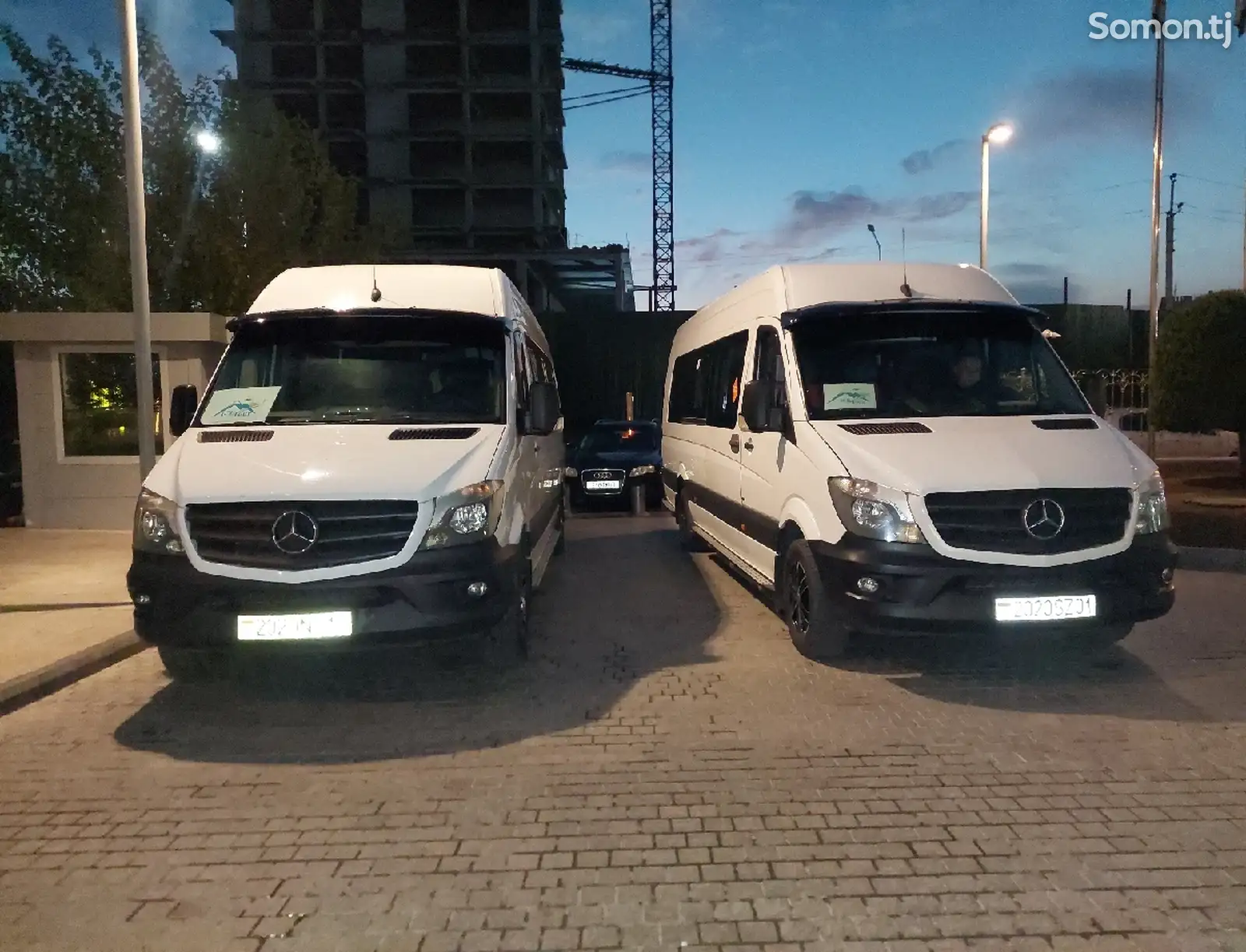 Услуги пассажирских перевозок на Mercedes-Benz Sprinter-1