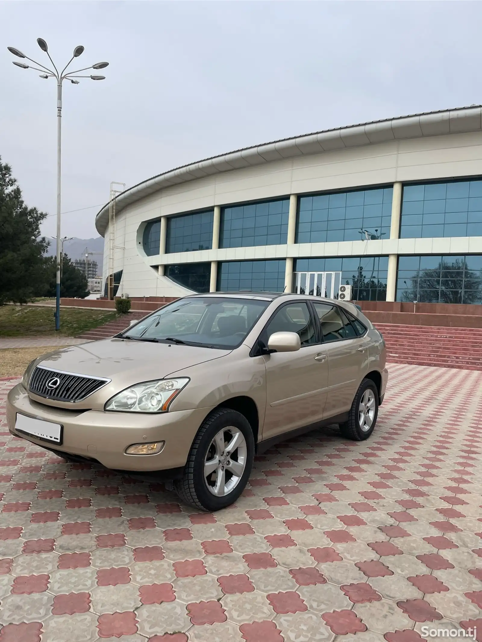 Lexus RX series, 2006-1