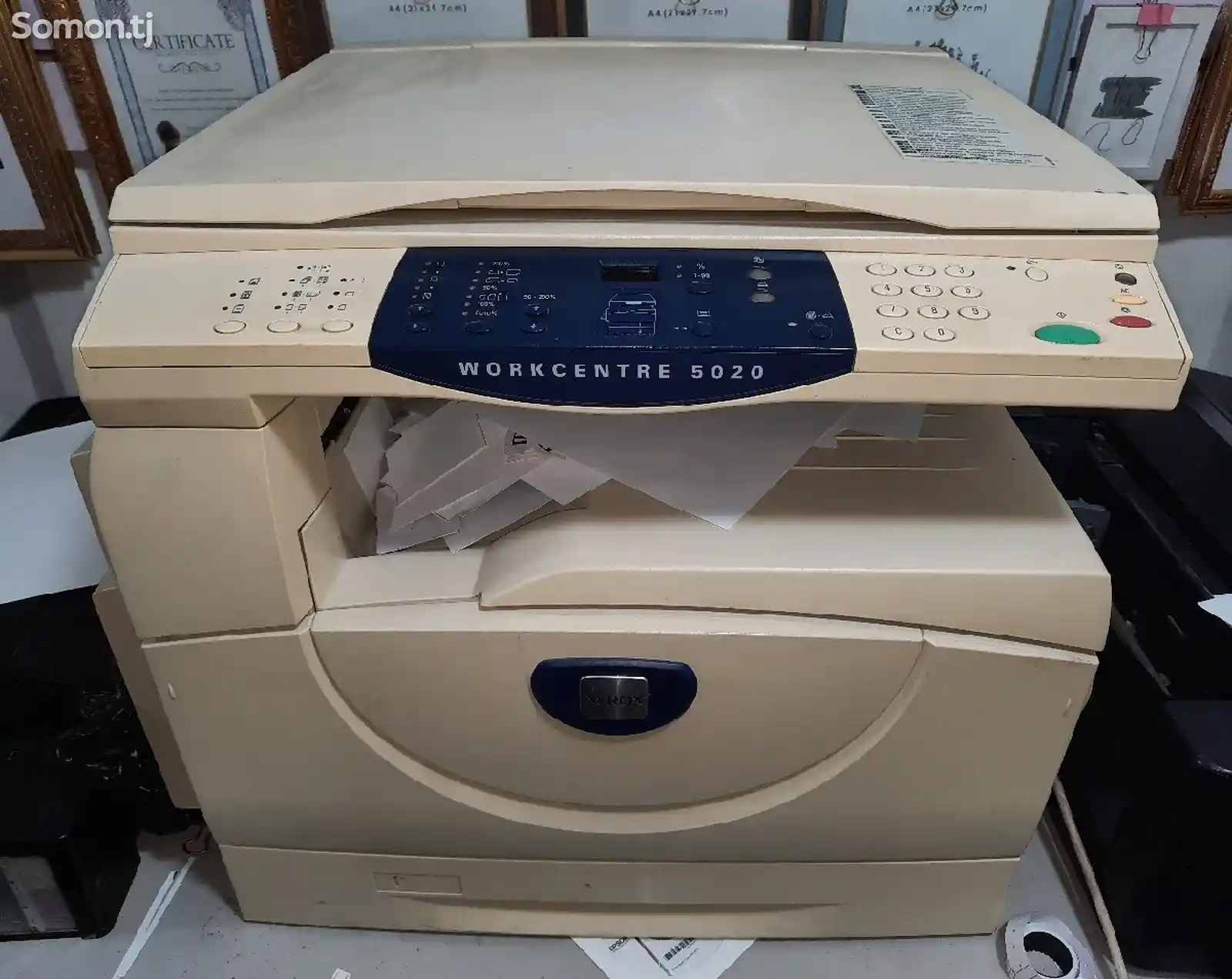 Принтер A3 Xerox 5020
