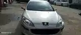 Peugeot 407, 2004-5