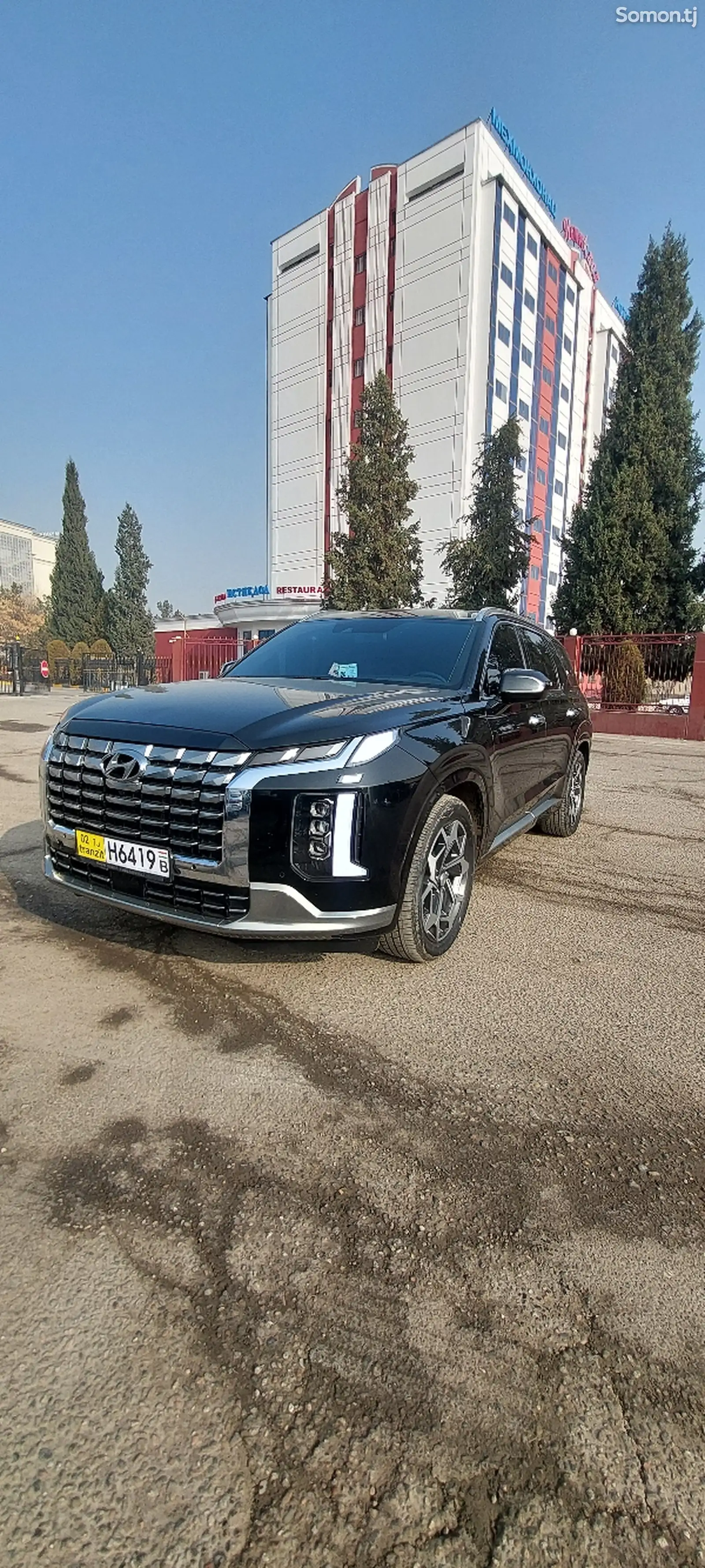 Hyundai Palisade, 2021-1