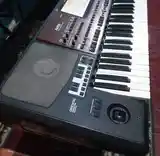 Синтезатор Корг па 700 ориентал/Korg pa 700 oriental-3