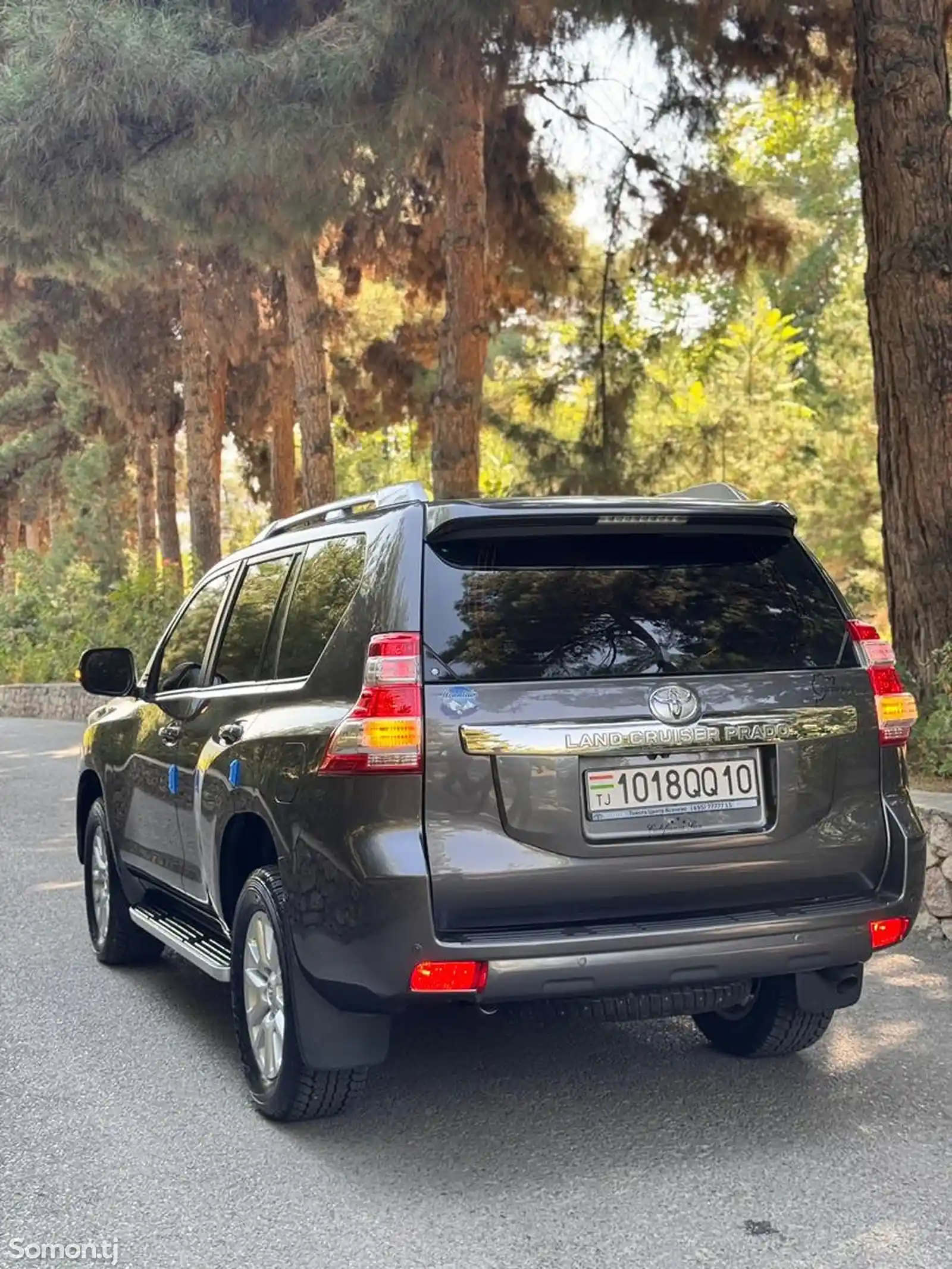 Toyota Land Cruiser Prado, 2017-5