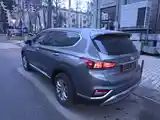 Hyundai Santa Fe, 2019-5