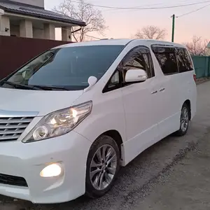 Toyota Alphard, 2010