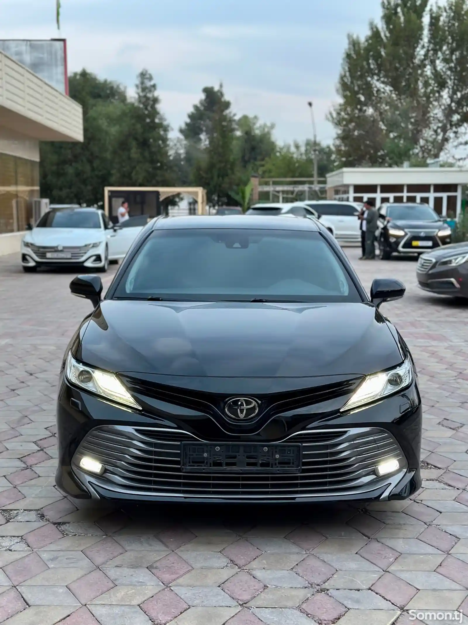 Toyota Camry, 2019-3