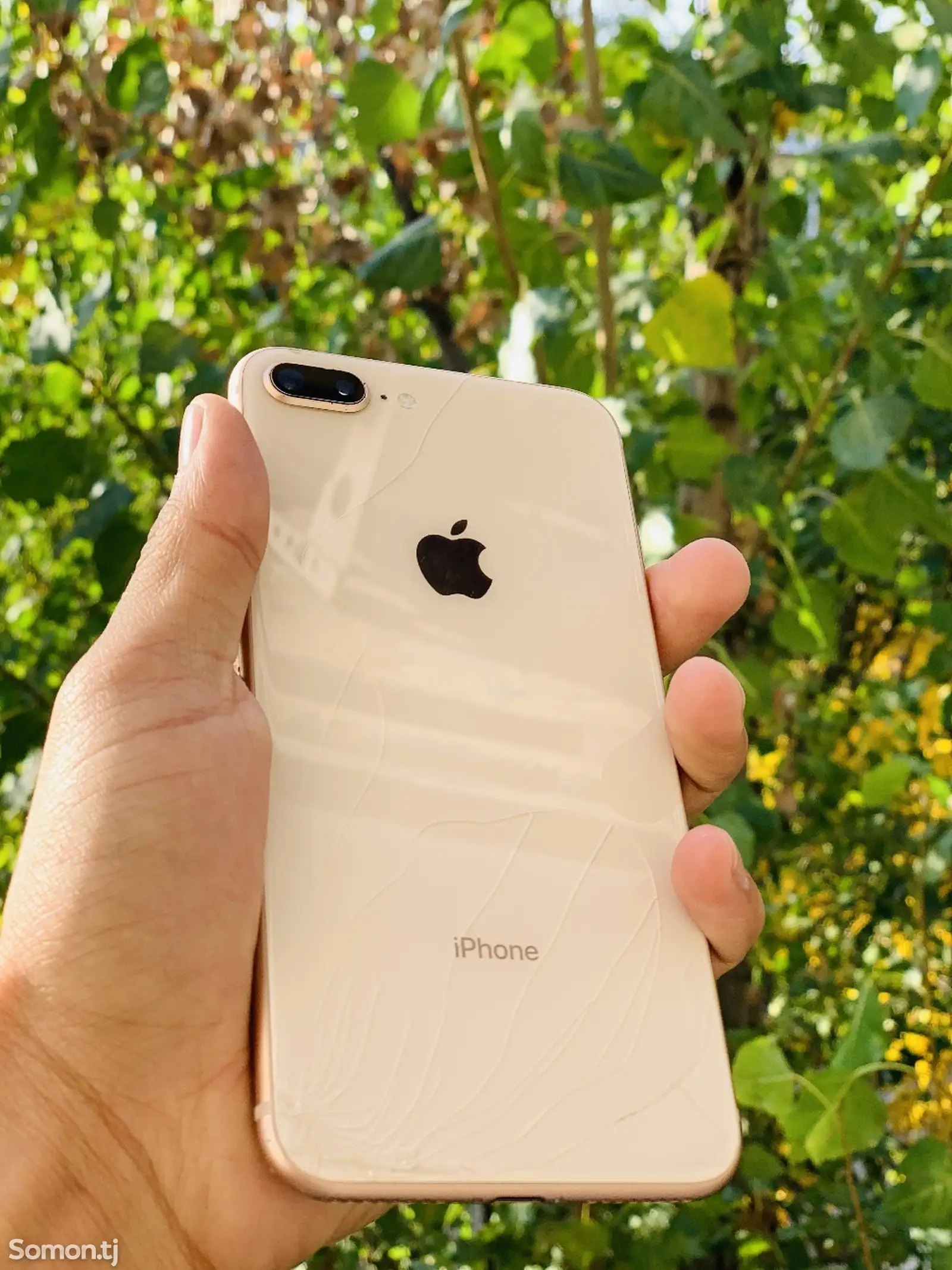 Apple iPhone 8 plus, 64 gb, Gold-1