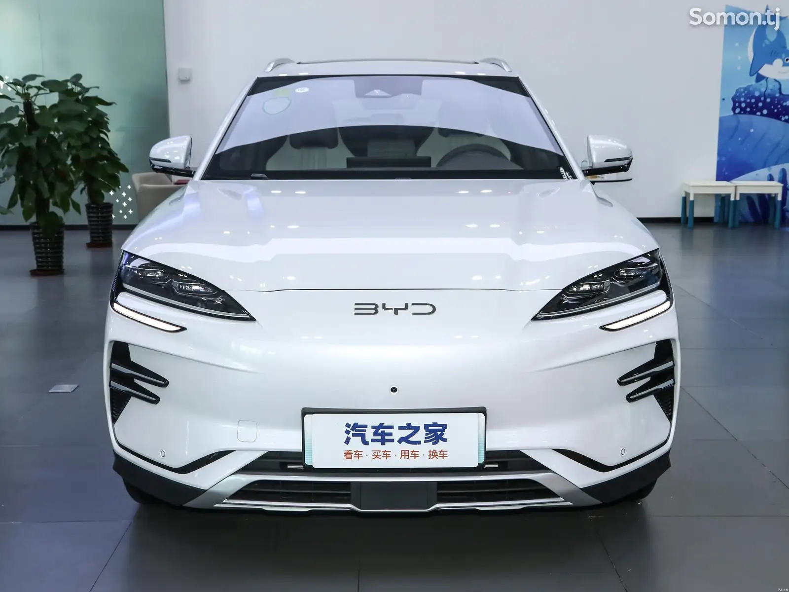 BYD Song Plus, 2024-1