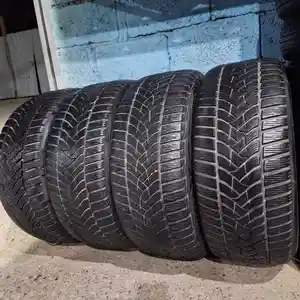 Шины 225/50 R17 Dunlop