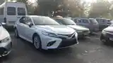 Toyota Camry, 2018-13