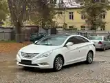 Hyundai Sonata, 2010-6