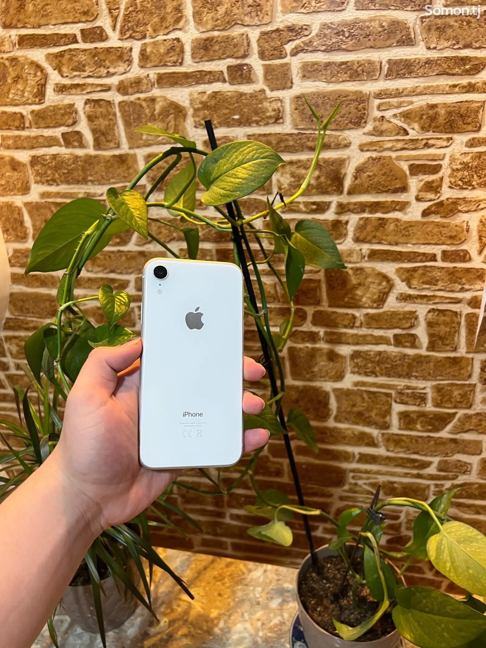 Apple iPhone Xr, 64 gb