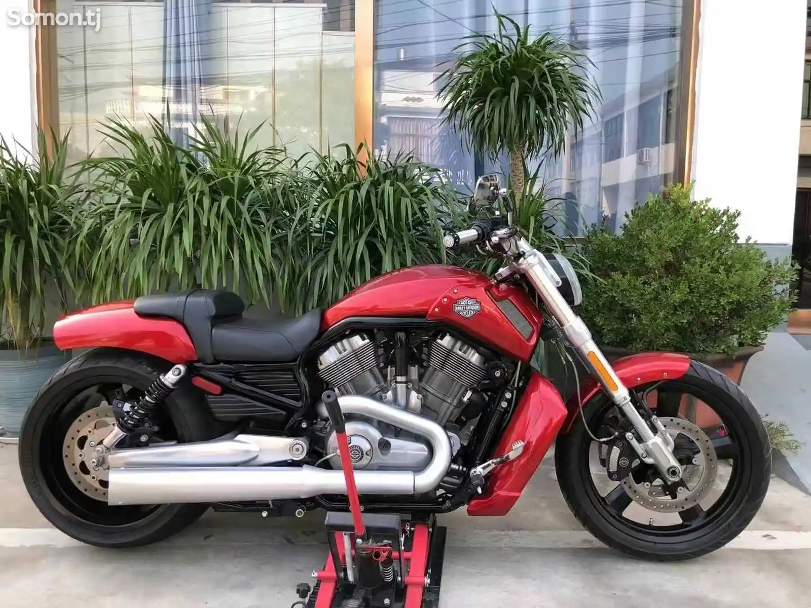 Мотоцикл Harley Wolverine 1250сс на заказ-5