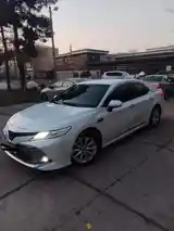 Toyota Camry, 2018-3