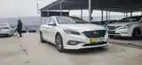 Hyundai Sonata, 2014-6